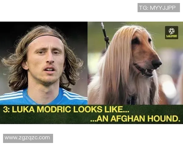 足球巨星的一天：从睡觉到训练场的搞笑日常翻车瞬间