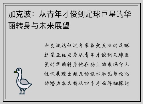 加克波：从青年才俊到足球巨星的华丽转身与未来展望