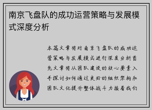 南京飞盘队的成功运营策略与发展模式深度分析